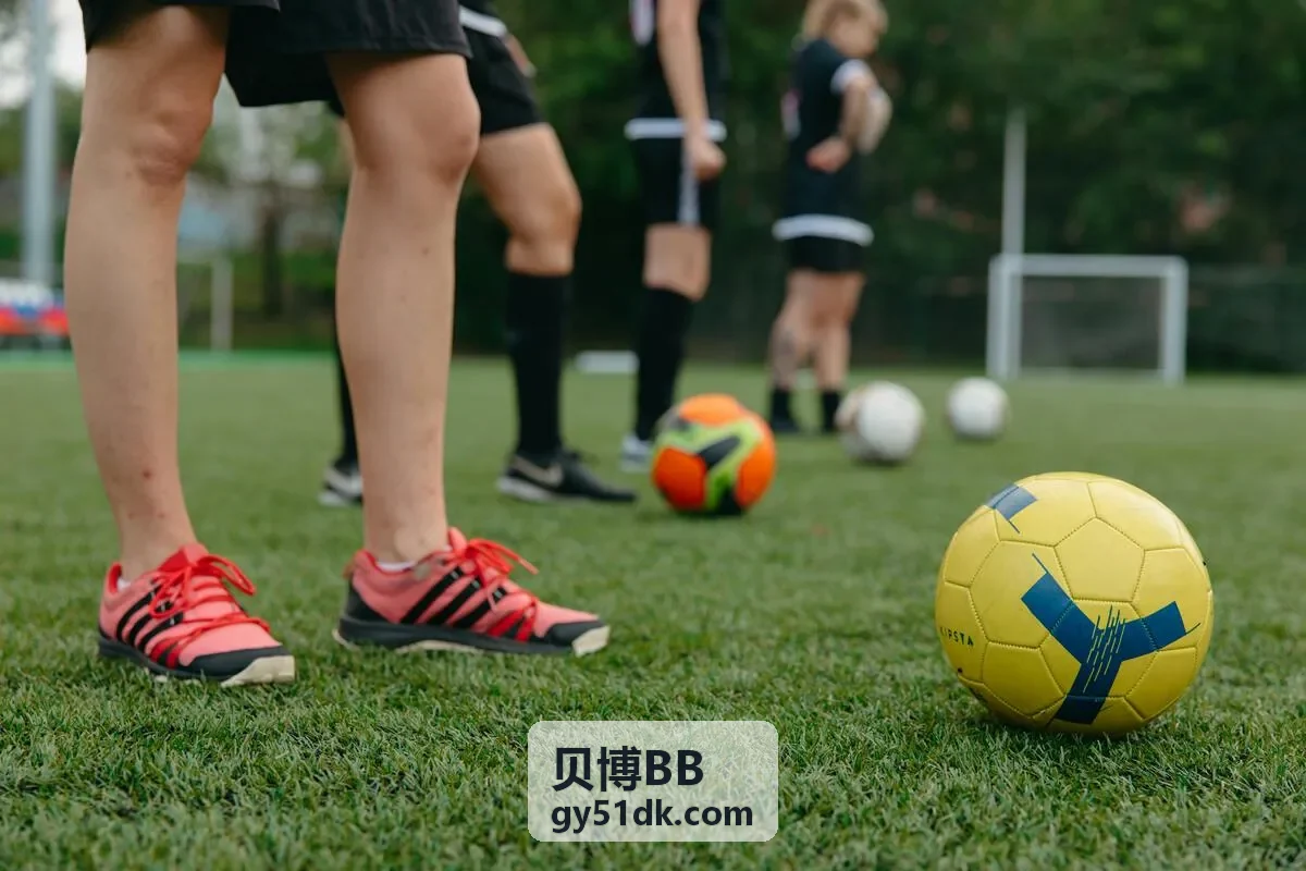 贝博BB 数据策略